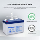 Deep Cycle Hybrid GEL Battery 12 Volt 100Ah Load image into Gallery viewer, Deep Cycle Hybrid GEL Battery 12 Volt 100Ah
