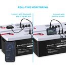 48V 50Ah Smart Lithium Iron Phosphate Battery Load image into Gallery viewer, 48V 50Ah Smart Lithium Iron Phosphate Battery