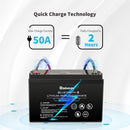 12V 100Ah Lithium Iron Phosphate Battery w/ Bluetooth Load image into Gallery viewer, 12V 100Ah Lithium Iron Phosphate Battery w/ Bluetooth