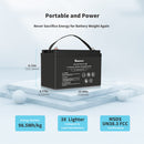 12V 100Ah Lithium Iron Phosphate Battery w/ Bluetooth Load image into Gallery viewer, 12V 100Ah Lithium Iron Phosphate Battery w/ Bluetooth