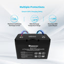 12V 100Ah Smart Lithium Iron Phosphate Battery w/ Self-Heating Function Load image into Gallery viewer, 12V 100Ah Smart Lithium Iron Phosphate Battery w/ Self-Heating Function