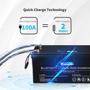 12V 200Ah Lithium Iron Phosphate Battery w/ Bluetooth Load image into Gallery viewer, 12V 200Ah Lithium Iron Phosphate Battery w/ Bluetooth