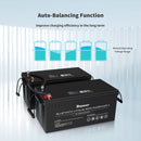 12V 200Ah Lithium Iron Phosphate Battery w/ Bluetooth Load image into Gallery viewer, 12V 200Ah Lithium Iron Phosphate Battery w/ Bluetooth