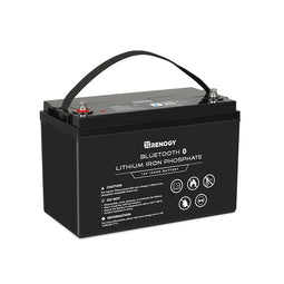 12V 100Ah Lithium Iron Phosphate Battery w/ Bluetooth