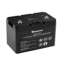 Load image into Gallery viewer, 12V 100Ah Smart Lithium Iron Phosphate Battery