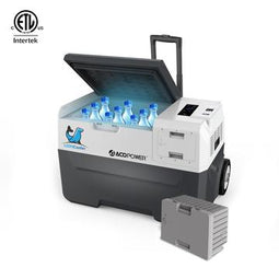 ACOPOWER LionCooler Combo Solar Freezer & Extra 173Wh Battery (2 Batteries)